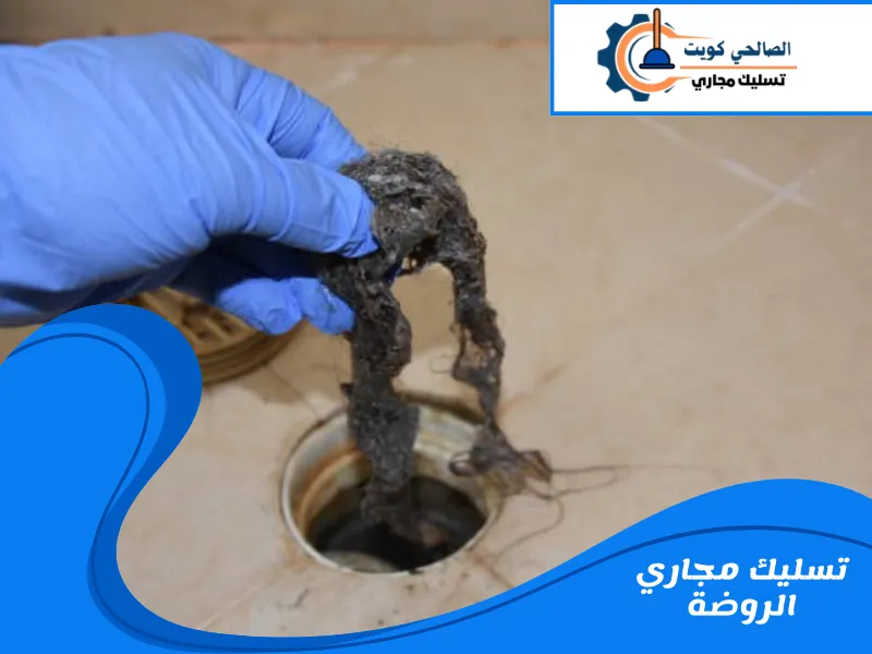 تسليك مجاري الروضة