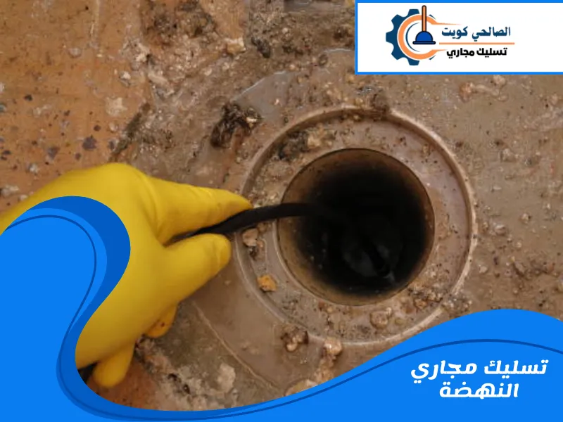 تسليك مجاري النهضة